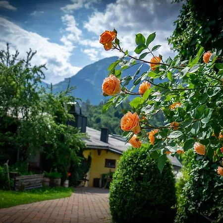 Reiters Sportpension In