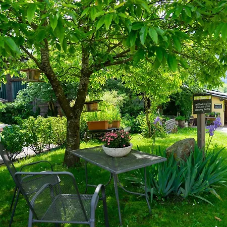Guest house Sportpension Goldegg