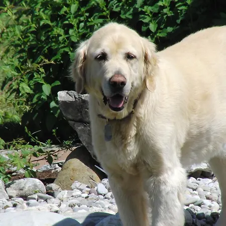 ゲストハウス Sportpension 3*